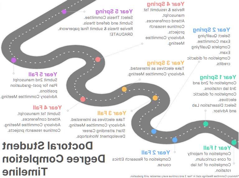 Doctoral Student Timeline